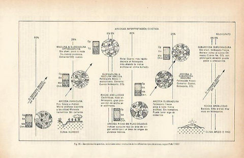 LAMINA ESPASA 26678: Interpretacion genetica de las arcosas segun Folk