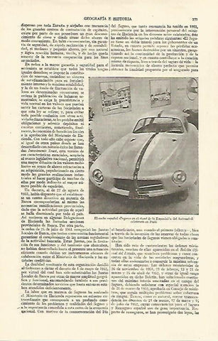 LAMINA ESPASA 26775: El nuevo Pegaso