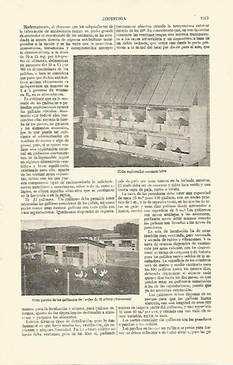 LAMINA ESPASA 26882: Gallineros de Caldes de Montbui Barcelona