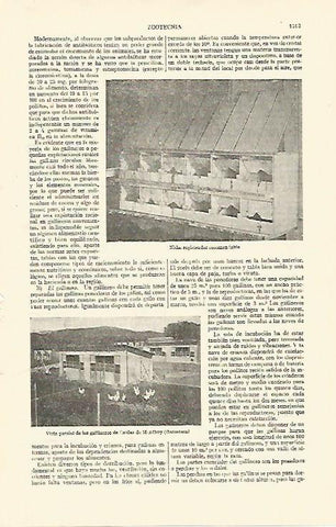 LAMINA ESPASA 26882: Gallineros de Caldes de Montbui Barcelona