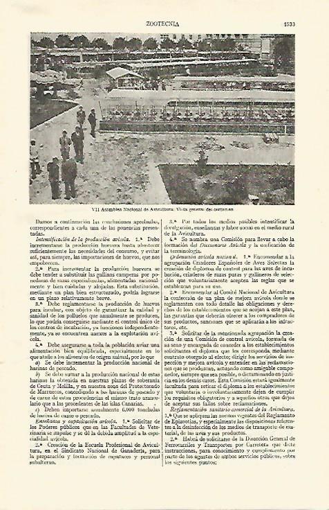 LAMINA ESPASA 26887: VII Asamblea Nacional de Avicultura