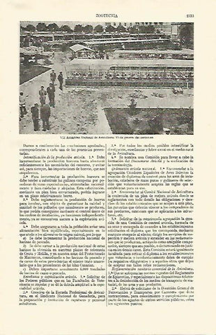 LAMINA ESPASA 26887: VII Asamblea Nacional de Avicultura