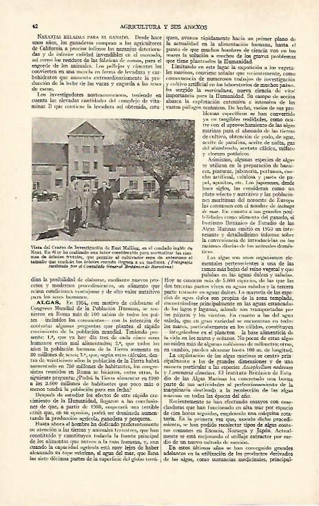LAMINA ESPASA 26891: Centro de Investigacion East Malling en Kent Gran Bretaña