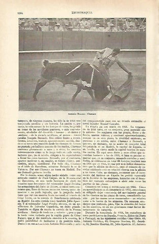 LAMINA ESPASA 27061: Chamaco