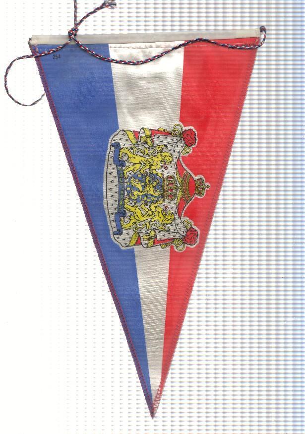 BANDERIN: NEDERLAND / HOLANDA - Escudo de Holanda en una cara y Escudos de Pronvincias en la otra