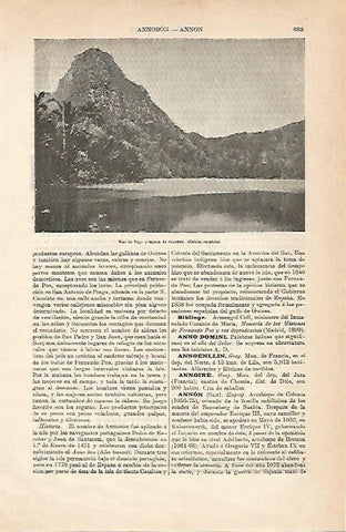 LAMINA ESPASA 7008: Pico de Fogo Guinea