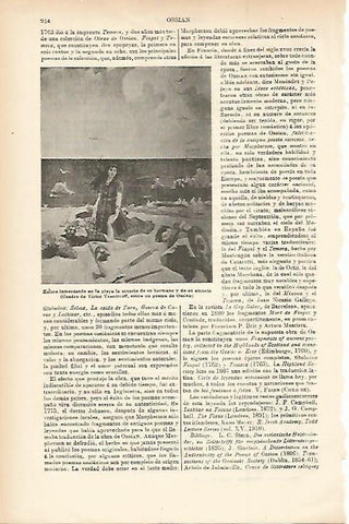 LAMINA ESPASA 7800: Cuadro de Victor Vasnetzoff