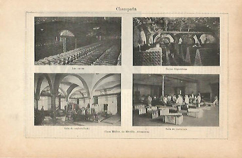 LAMINA ESPASA Alemania 14428: Casa Muller de Eltville en Alemania