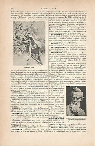LAMINA ESPASA 11731: El general Botha