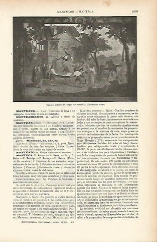 LAMINA ESPASA 3991: Sancho manteado. Tapiz de Bruselas