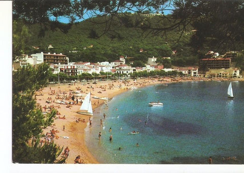 Postal 027983 : Costa Brava, Llafranch
