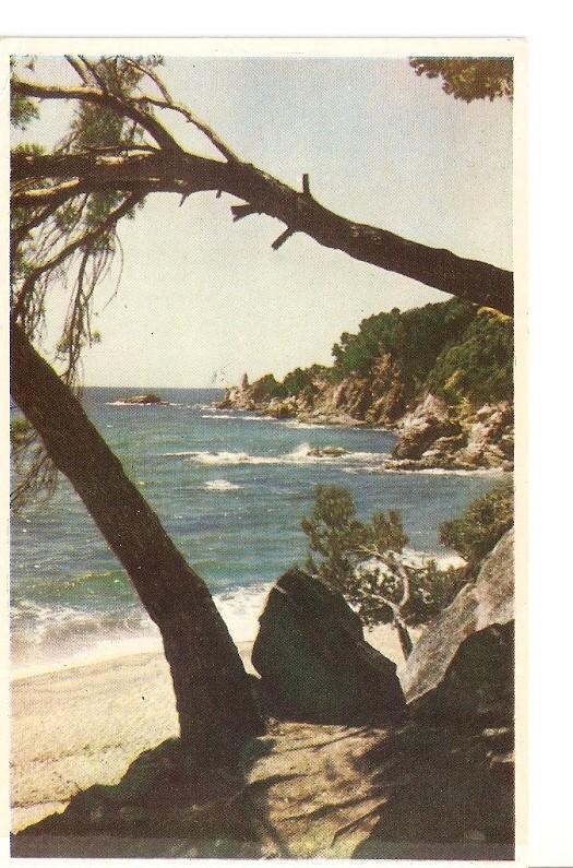Postal 024842 : Santa Cristina - Costa Brava