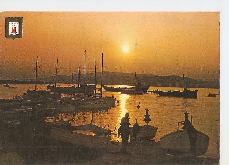 Postal 049256 : Palamon (Costa Brava). Capvespre