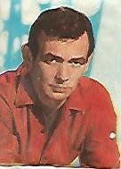 CROMO 603 FIGURAS DE LA TV: David Janssen