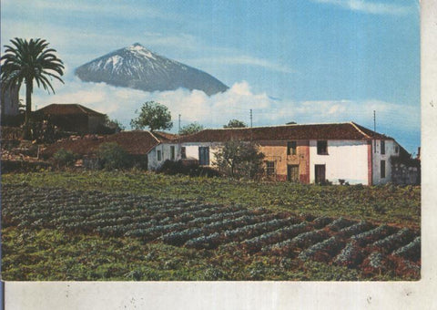 Postal 013138: Teide y paisaje tipico de Canarias
