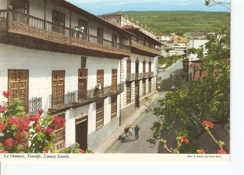 Postal 029557 : La Orotova (Tenerife) Islas Canarias
