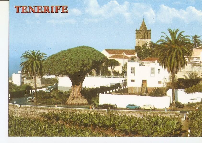 Postal 029638 : Islas Canarias Icod de los Vinos (Tenerife). Vista parcial. Drago milenario