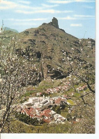 Postal 029699 : Gran Canaria (Islas Canarias) Vista general de Tejeda y monte Bentaiga al fondo