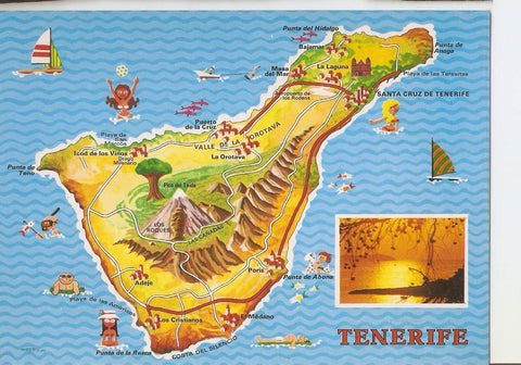 Postal 038565 : Islas Canarias. Tenerife