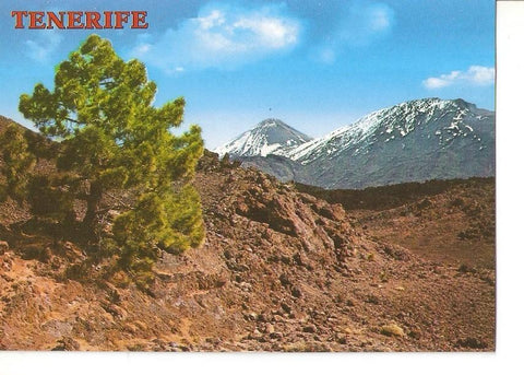 Postal 040742 : Tenerife (Canarias). El Teide