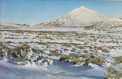 Postal 60093: El Teide de llanos de  Maja Tenerife  (Canarias)