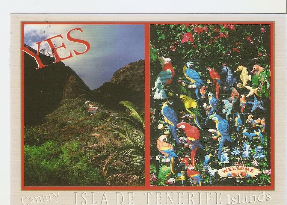 Postal 044089 : Isla de Tenerife. Masca - recuerdos Islas Canarias