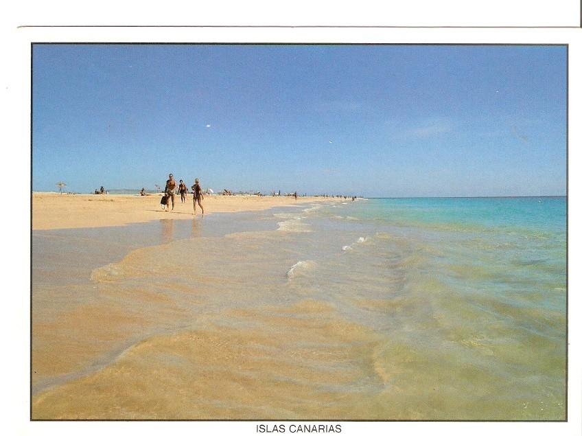 Postal 044137 : Islas Canarias. Playa Canaria