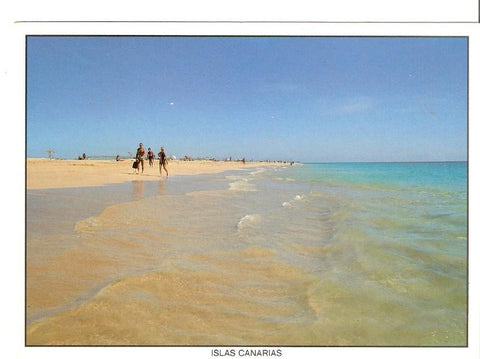 Postal 044137 : Islas Canarias. Playa Canaria