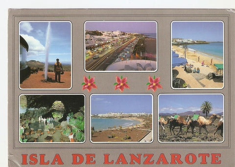 Postal 044301 : Isla de Lanzarote. Islas Canarias