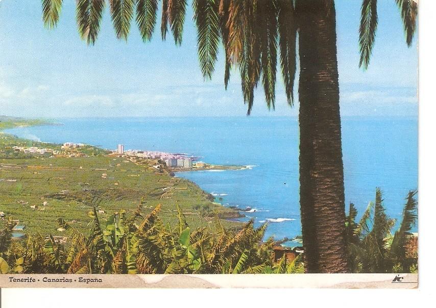Postal 045512 : Tenerife. Canarias España. Valle de la Orotava. Vista parcial