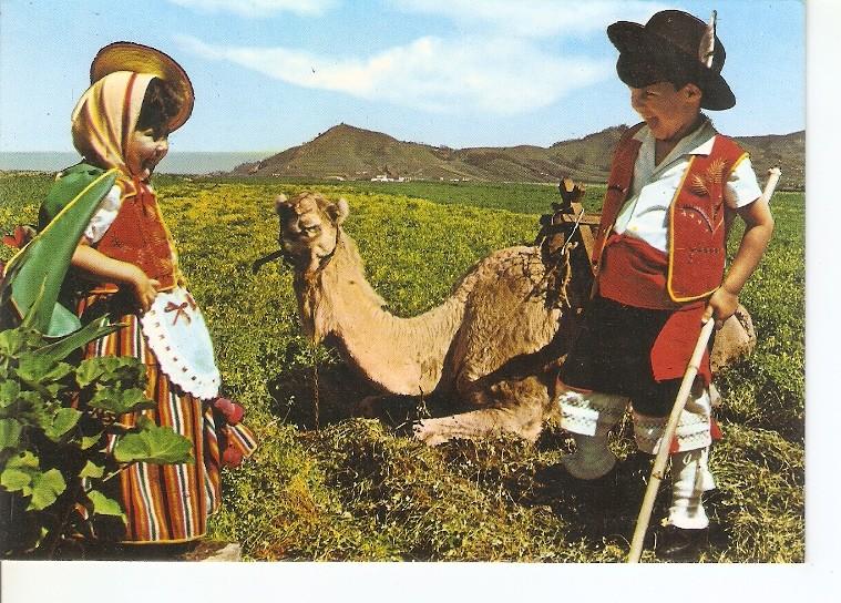 Postal 050343 : Islas Canarias. Escena tipica