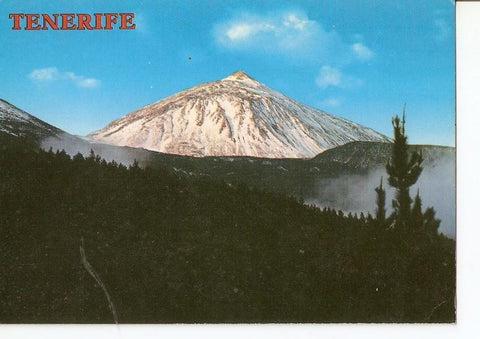 Postal 024185 : El Teide (Canarias)