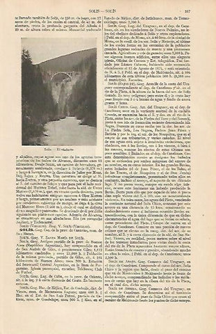 LAMINA ESPASA 7534: Viaducto de Solis Canarias y trasera dibujo de Antonio de Solis