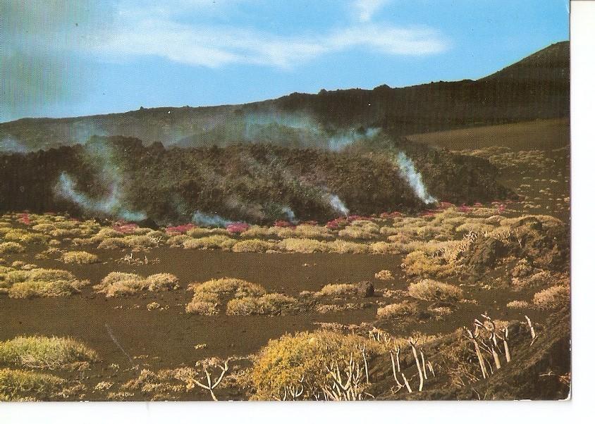 Postal 029521 : Isla de Palma (Canarias) Volcan de Teneguis - Fuencaliente. Rio de Lava