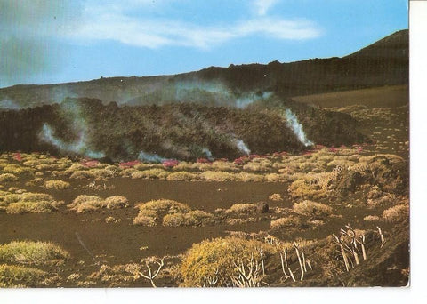 Postal 029521 : Isla de Palma (Canarias) Volcan de Teneguis - Fuencaliente. Rio de Lava