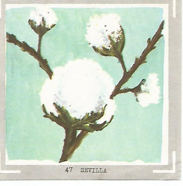 CROMO no  47. Sevilla