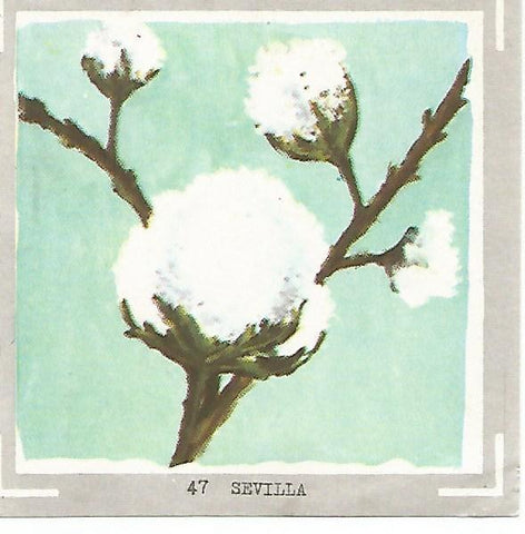 CROMO no  47. Sevilla