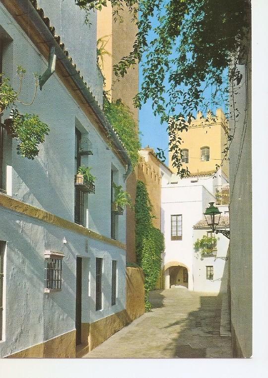 Postal 050280 : Sevilla. Calle de la Juderia (Barrio de Santa Cruz)