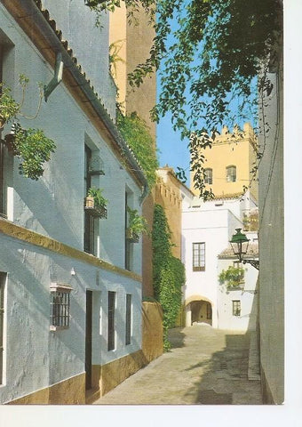 Postal 050280 : Sevilla. Calle de la Juderia (Barrio de Santa Cruz)