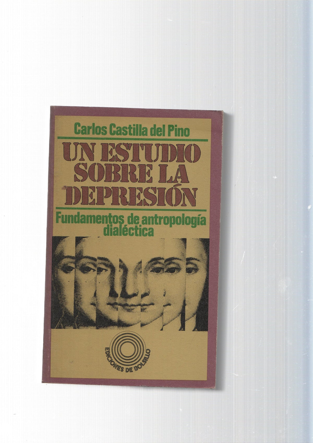 Un estudio sobre la depresion. Fundamentos de antropologia dialectica