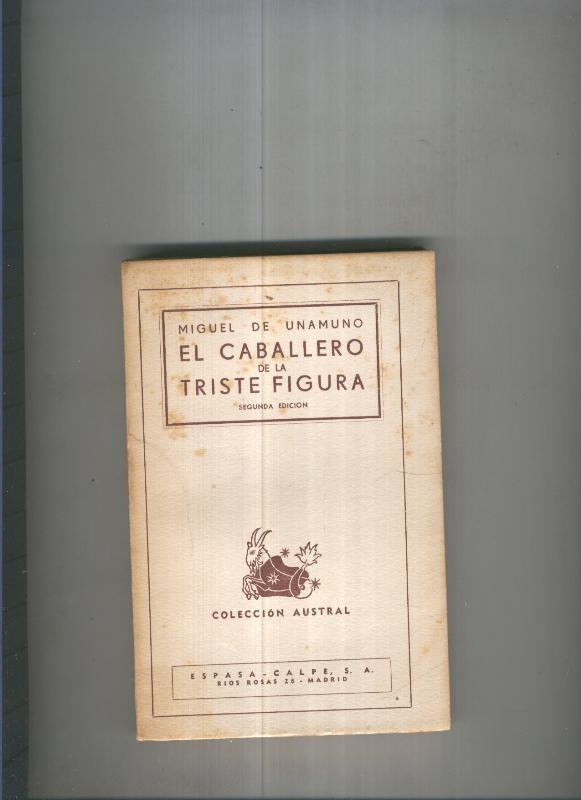 El caballero de la triste figura
