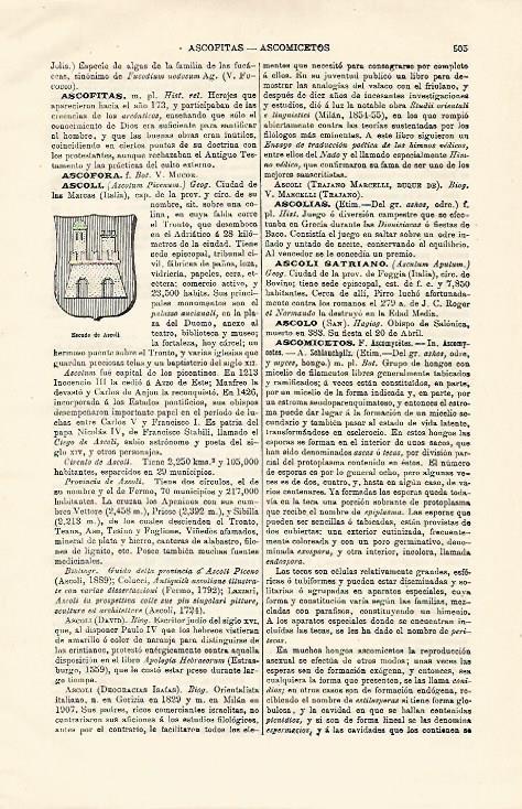 LAMINA ESPASA 12876: Escudo de Ascoli Italia