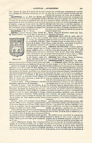 LAMINA ESPASA 12876: Escudo de Ascoli Italia