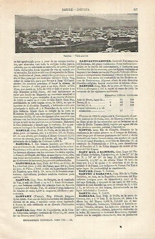 LAMINA ESPASA 12388: Vista general de Sarzana Italia