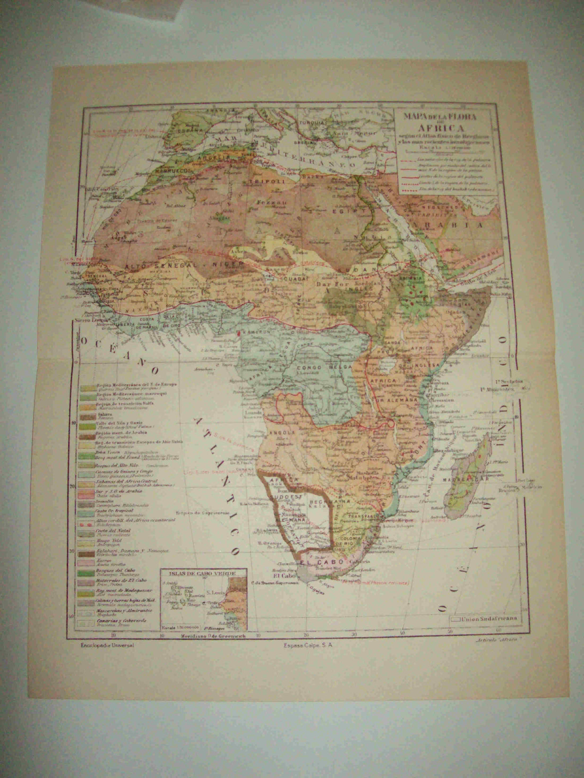 LAMINA ESPASA 12581: Mapa de la flora de Africa