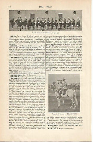 LAMINA ESPASA 4512: Seccion de husares de la Princesa