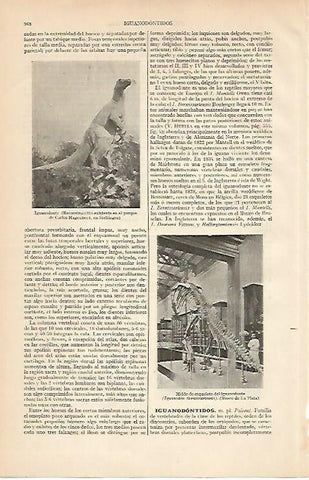 LAMINA ESPASA 4540: Iguanodonte