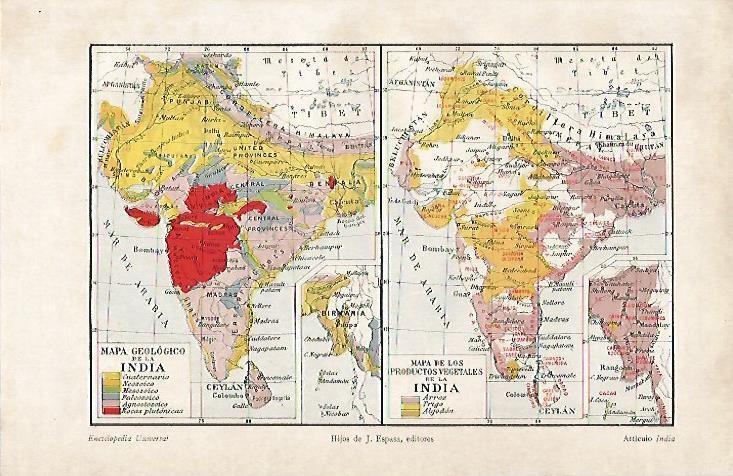 LAMINA ESPASA 4564: Mapa geologico y de vegetales de la India