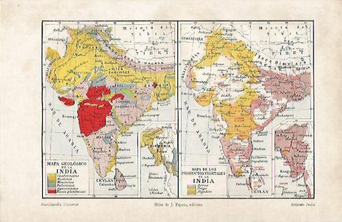 LAMINA ESPASA 4564: Mapa geologico y de vegetales de la India