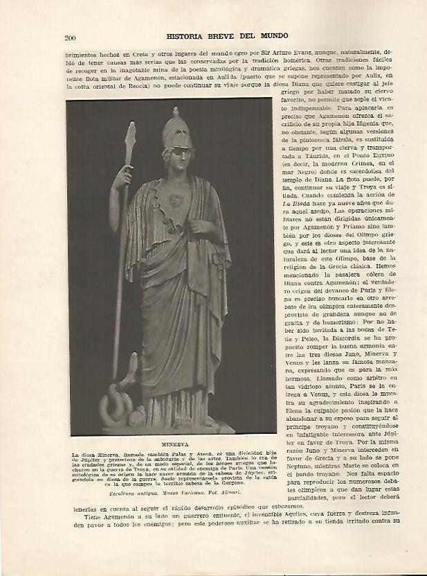 LAMINA 5124: Minerva